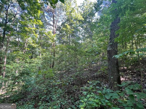 0 Nottingham Way Ne, Fairmount, GA, 30139 | Card Image