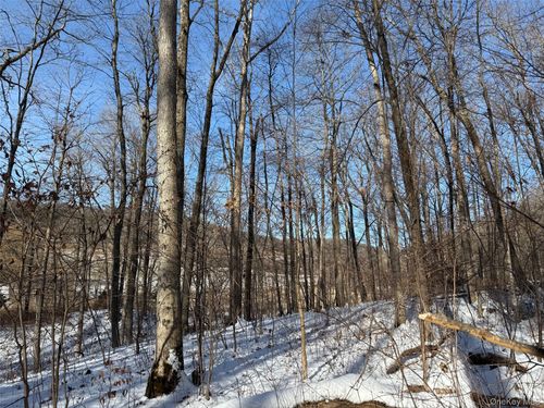 124 Cooper Rd, Millerton, NY, 12546-4556 | Card Image