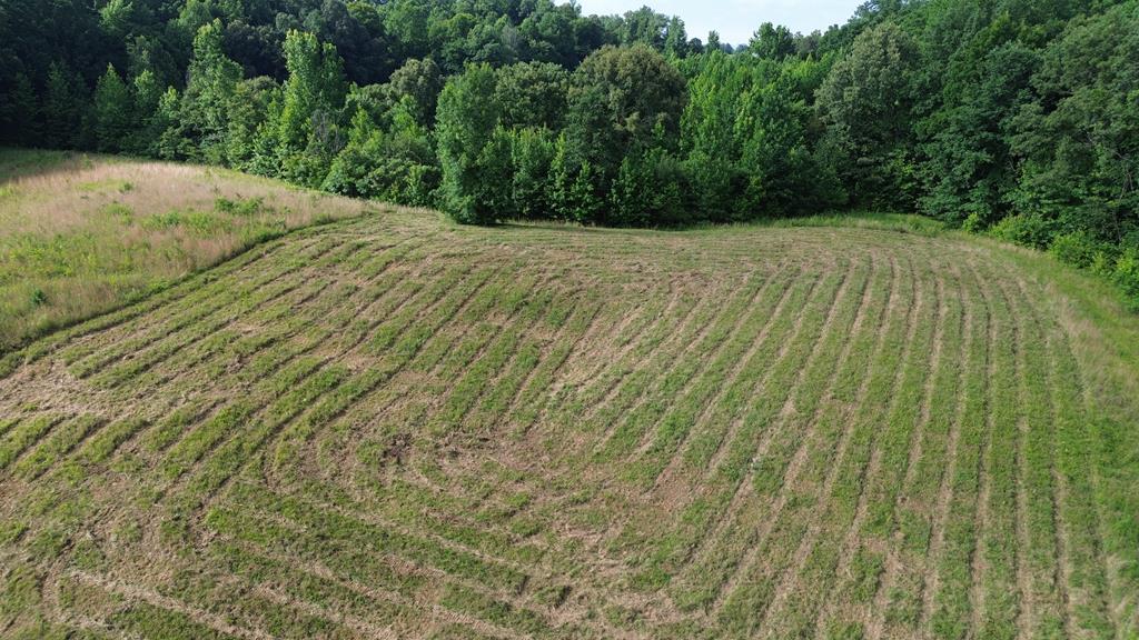 Land in Smithville