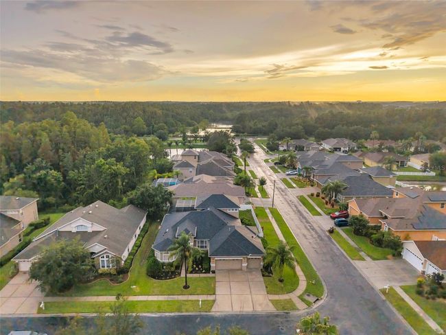 31646 Baymont Loop, House other with 5 bedrooms, 4 bathrooms and null parking in WESLEY CHAPEL FL | Image 77