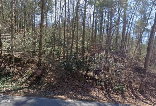 0 Alpine Dr, Sevierville, TN, 37876 | Card Image