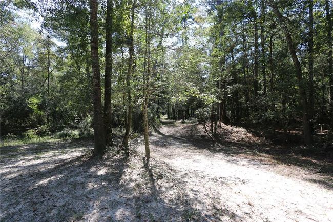 18157 State Highway 87 S, Home with 2 bedrooms, 1 bathrooms and 1 parking in Call TX | Image 37