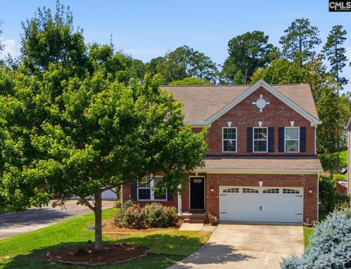 124 Palm St, Chapin, SC, 29036-9183 | Card Image
