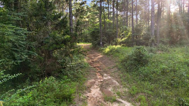 TBD 17.57 ACRES Fm 2274, Home with 1 bedrooms, 1 bathrooms and null parking in Troup TX | Image 15
