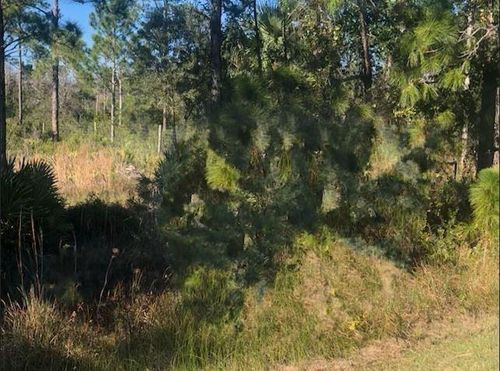 0 Kenansville Rd, Kenansville, FL, 34739 | Card Image