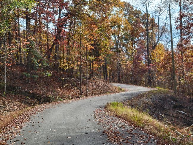 11 Raulstontown Road, Home with 0 bedrooms, 0 bathrooms and null parking in South Pittsburg TN | Image 8