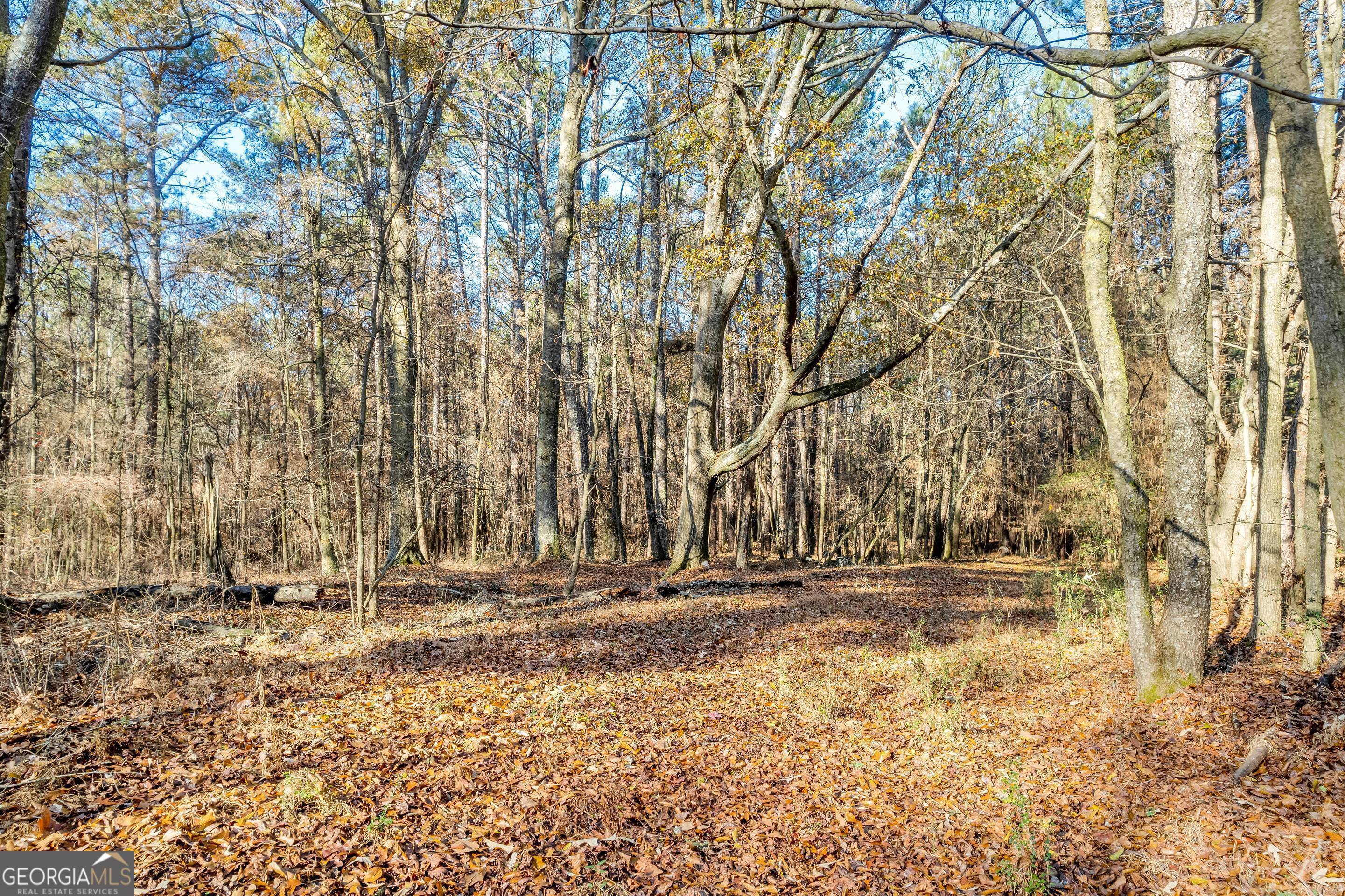 Muddy Branch Rd, Canon, GA 30520