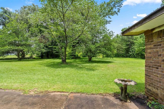 8103 Us Highway 259 N, House other with 4 bedrooms, 3 bathrooms and null parking in Omaha TX | Image 8