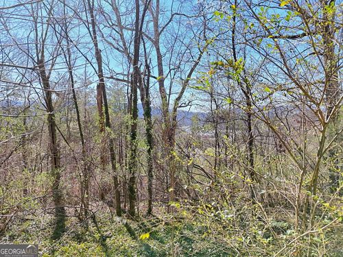 631 Mcridge Rd, Hiawassee, GA, 30546-2517 | Card Image