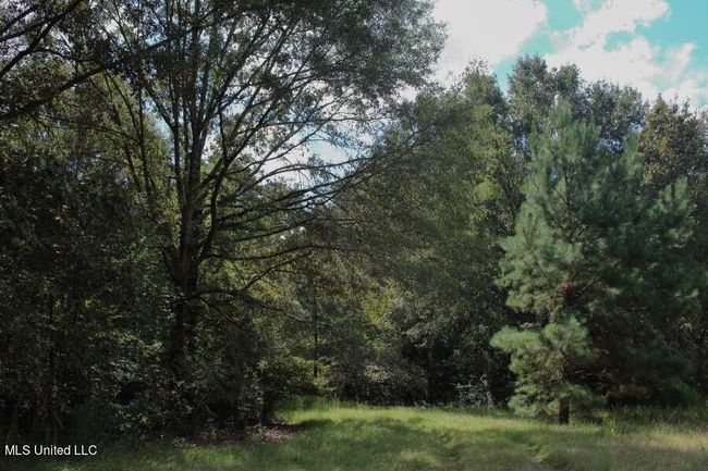 7 | Image 6