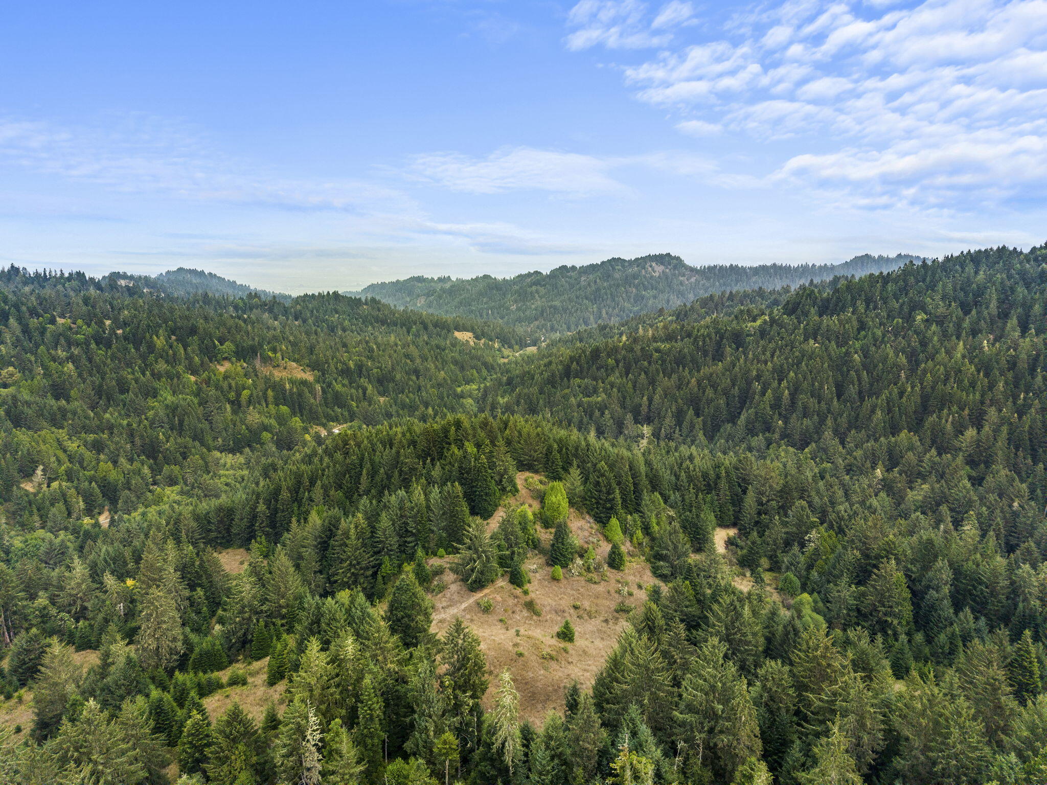 Land in Ferndale