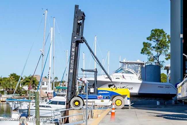 Marinas... | Image 14