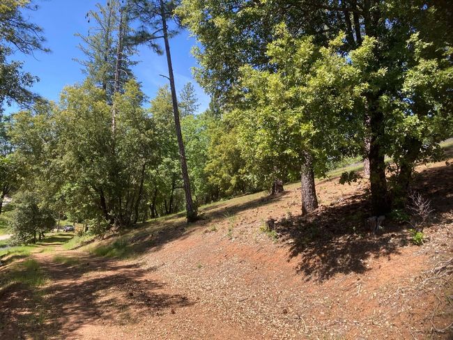 16688 Sonshine Ln, Home with 0 bedrooms, 0 bathrooms and null parking in Sutter Creek CA | Image 21