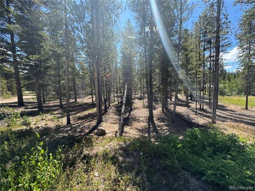334 Baby Doe Dr, Leadville, CO, 80461-9404 | Card Image