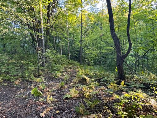 15198 Penesal Rd, Leroy, MI, 49655-8184 | Card Image