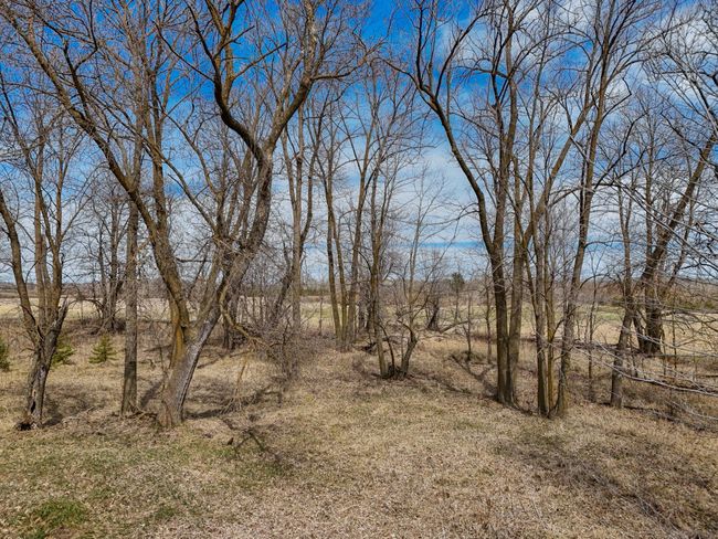 36675 County Road 150, Home with 0 bedrooms, 0 bathrooms and null parking in Frazee MN | Image 9