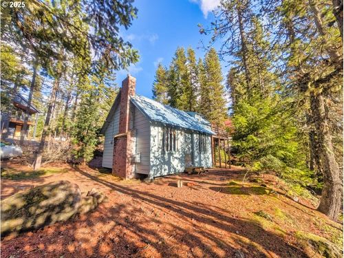 89255 E Government Camp Loop, Government Camp, OR, 97028-2511 | Card Image