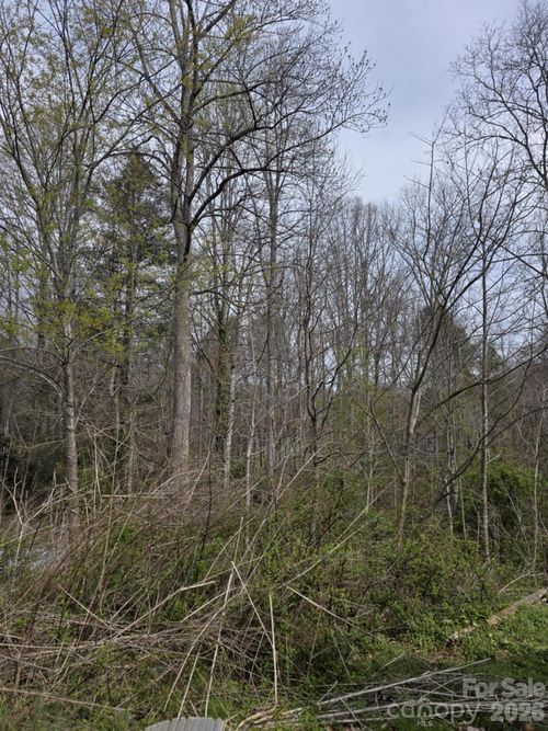 41 Jack Rabbit Dr, Marion, NC, 28752-6602 | Card Image