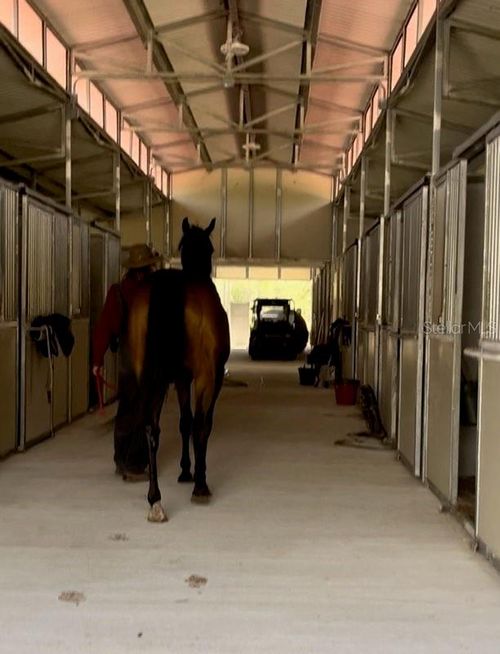 14192 Ermine Owl Rd, BROOKSVILLE, FL, 34614 | Card Image