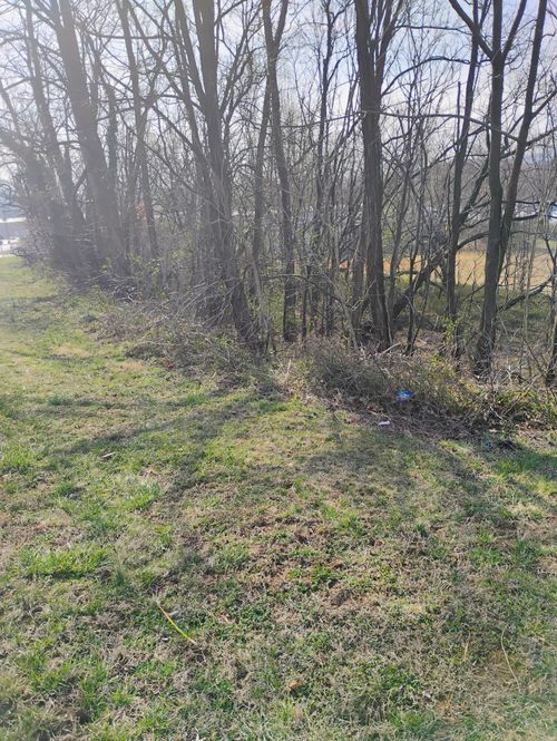 0 Dogwood Ln, Troutville, VA, 24175 | Card Image