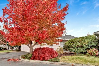 Gorgeous fall colors and nicely landscaped. Attached two car garage. | Image 2