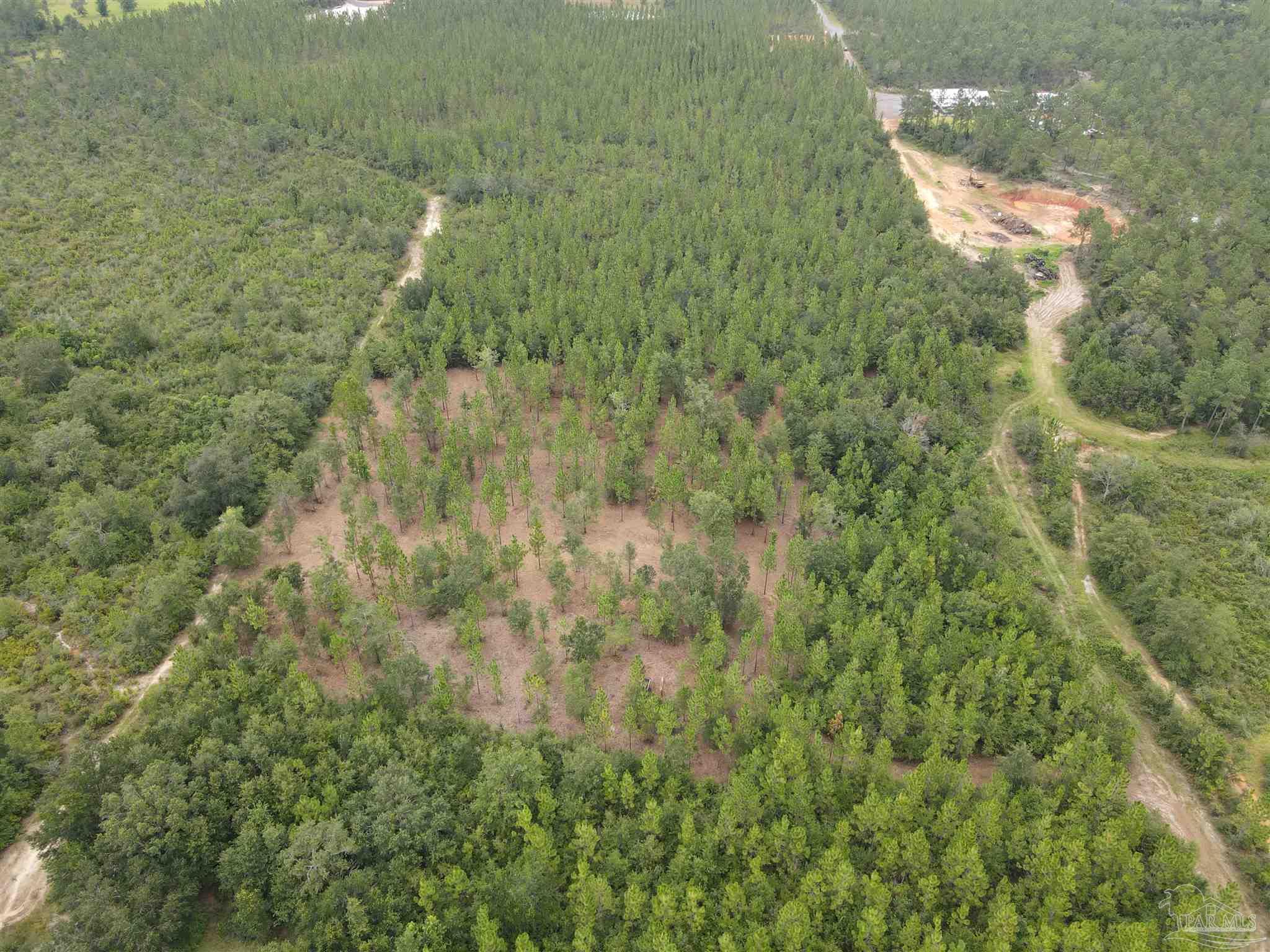 Land in Pace