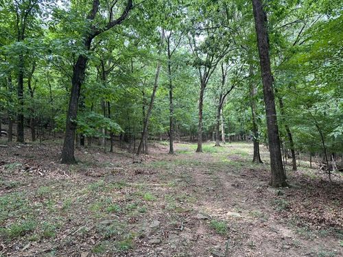 14295 Blue Mountain Rd, Prairie Grove, AR, 72753-8705 | Card Image