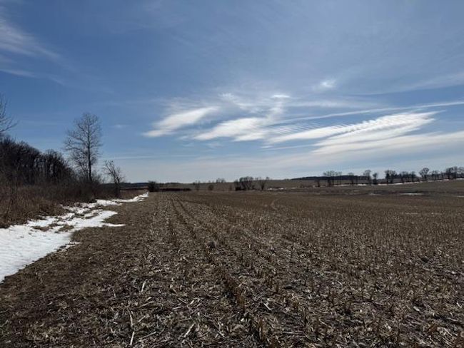 0000 County Road 61, Home with 0 bedrooms, 0 bathrooms and null parking in Browerville MN | Image 20