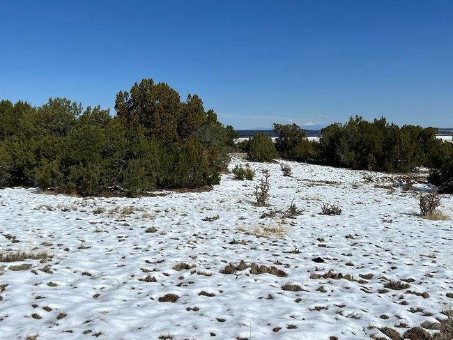 28 Turkey Ridge Rd, Home with 0 bedrooms, 0 bathrooms and null parking in Walsenburg CO | Image 33