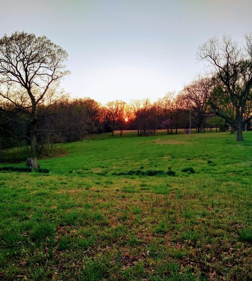 495 Hart Rd, Seneca, MO, 64865-7274 | Card Image