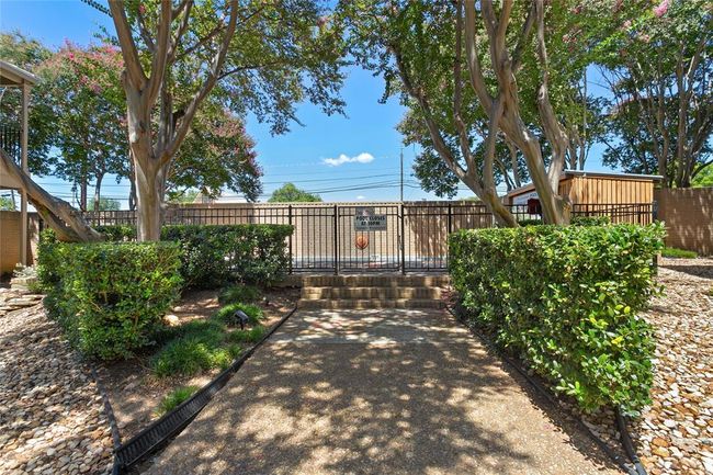 Pool Entry | Image 35