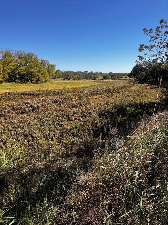 View of nature with rural landscape | Image 6