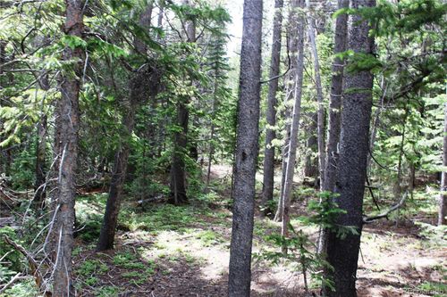 Lot 209 Upper Forest Rd, Idaho Springs, CO, 80452-9772 | Card Image