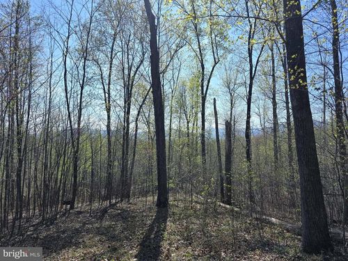 LOT 2 S F T Valley Rd, MADISON, VA, 22727-3958 | Card Image