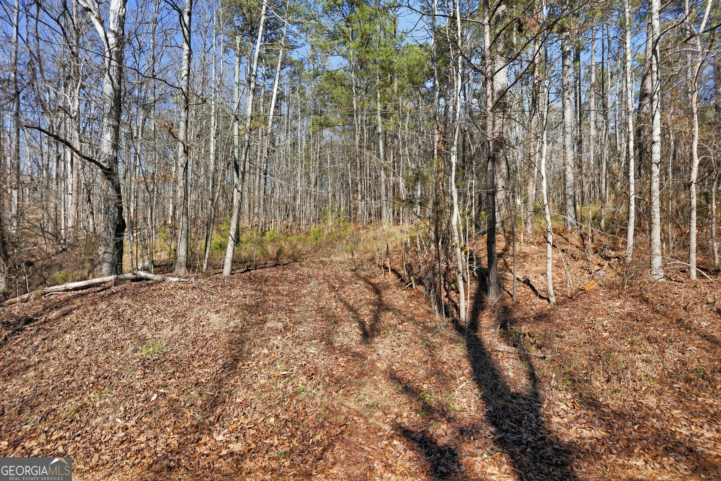 Land in Covington 2