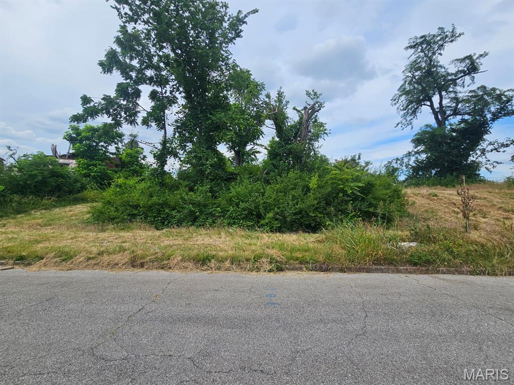 Land in St Louis 2