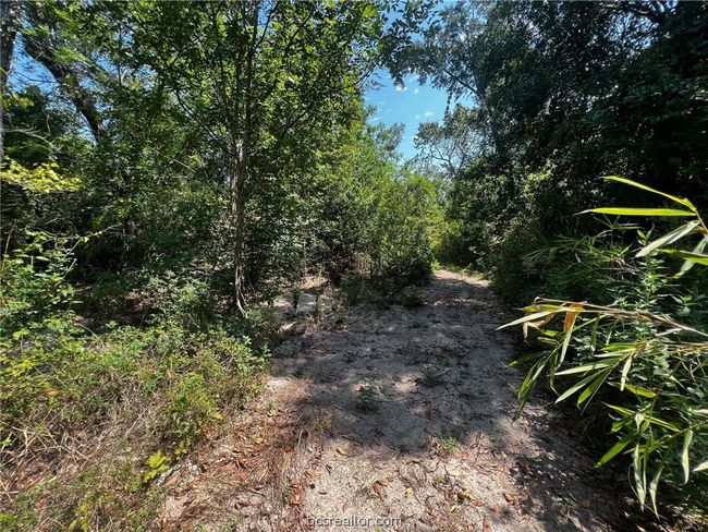 30 Fm 1486, Home with 0 bedrooms, 0 bathrooms and null parking in Richards TX | Image 11