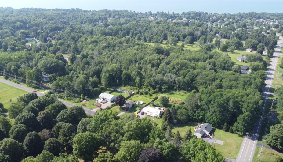 Land in Webster 3