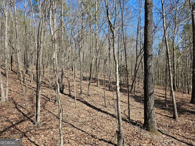 TRACT-4 - 0 Prior Station Rd, Home with 0 bedrooms, 0 bathrooms and null parking in Cedartown GA | Image 5