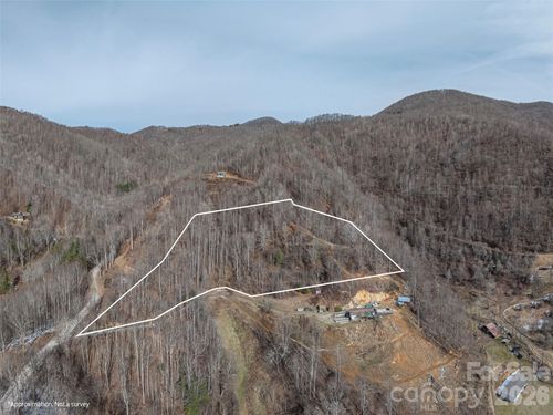 00 Max Patch Rd, Clyde, NC, 28721 | Card Image