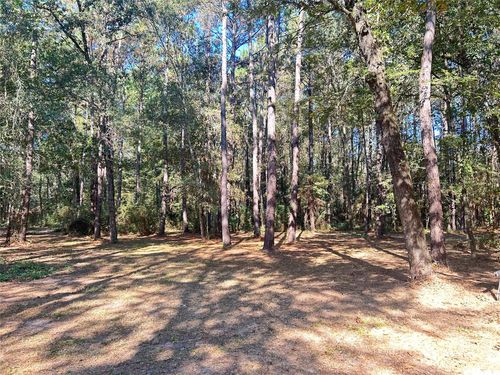 24445 Pipestem Dr, Magnolia, TX, 77355-6941 | Card Image