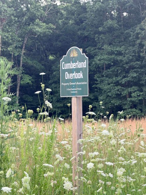 00 Horizon Dr, Pikeville, TN, 37367 | Card Image