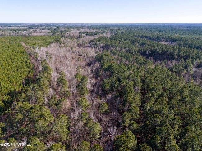 00 Sykes Town Rd, Home with 0 bedrooms, 0 bathrooms and null parking in Currie NC | Image 43