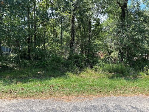 TBD Belize Dr, Pointblank, TX, 77364 | Card Image