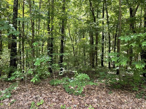 0 Long Mountain Rd, McMinnville, TN, 37110 | Card Image