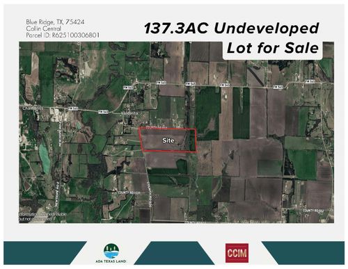 TBD 137.3AC County Road 832, Blue Ridge, TX, 75424 | Card Image