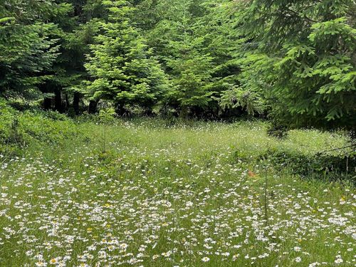 1830 Seymour Rd, Gabriola Island, BC, V0R1X6 | Card Image