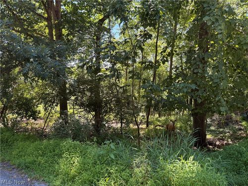 Lot 1623 Comanche Trl, Malvern, OH, 44644 | Card Image