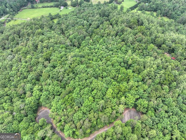 LTS 5, 6, 7 Mountain Springs Rd, Home with 0 bedrooms, 0 bathrooms and null parking in Ellijay GA | Image 5