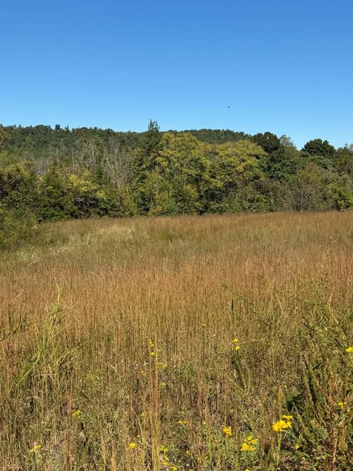 11.7 ac Byrdstown Hwy, Livingston, TN, 38570 | Card Image